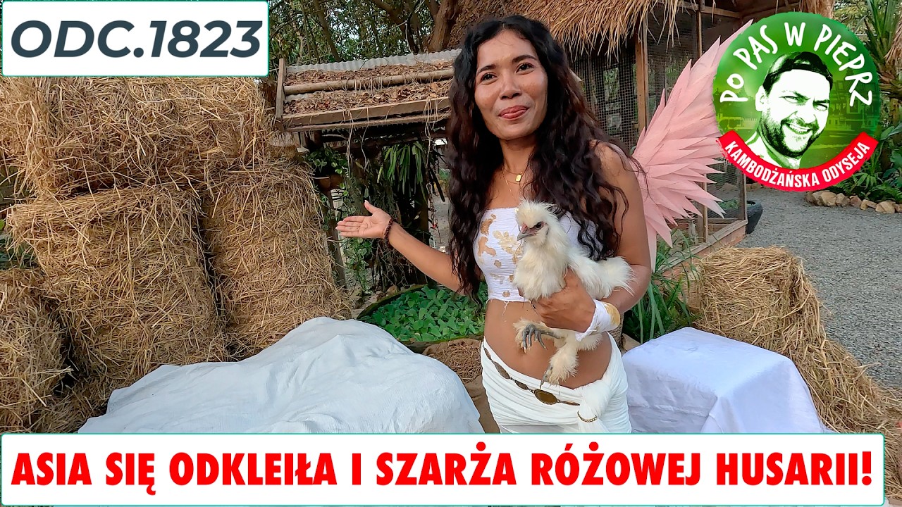 Asia się mocno odkleiła. Szarża różowej Husarii! Odc.1883