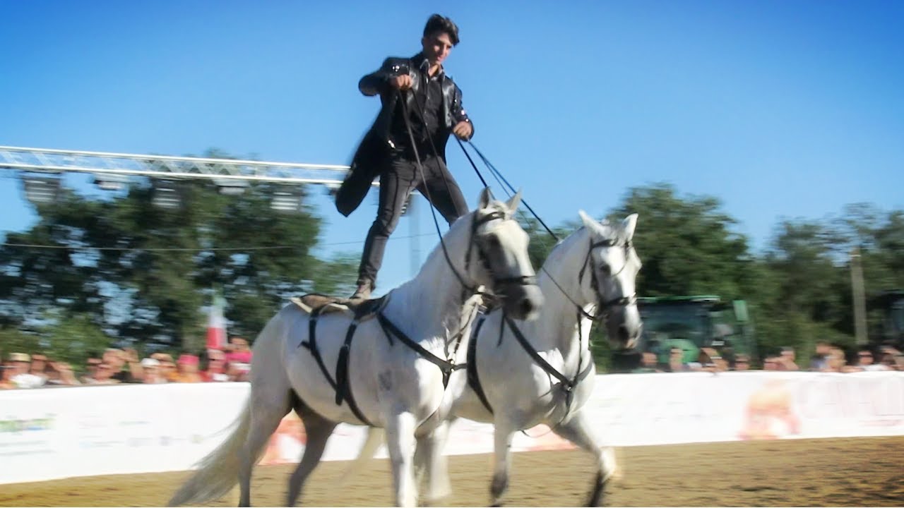 Stunt Riding Cavalli d'Atunno, Tuscania