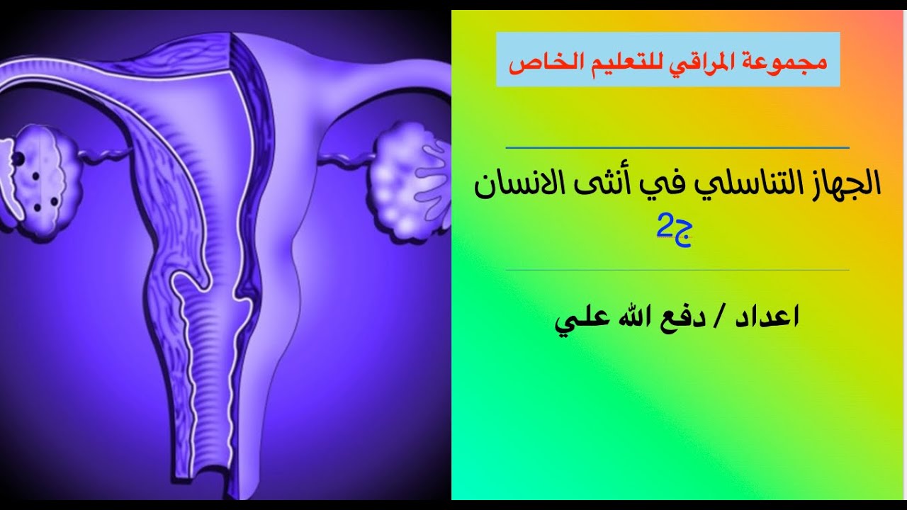 الجهاز التناسلي في أنثى الانسان ج2 | الأحياء | حصص الشهادة السودانية