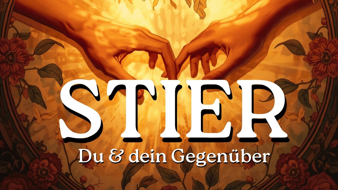 STIER | DU kannst nicht verpassen was schon da ist