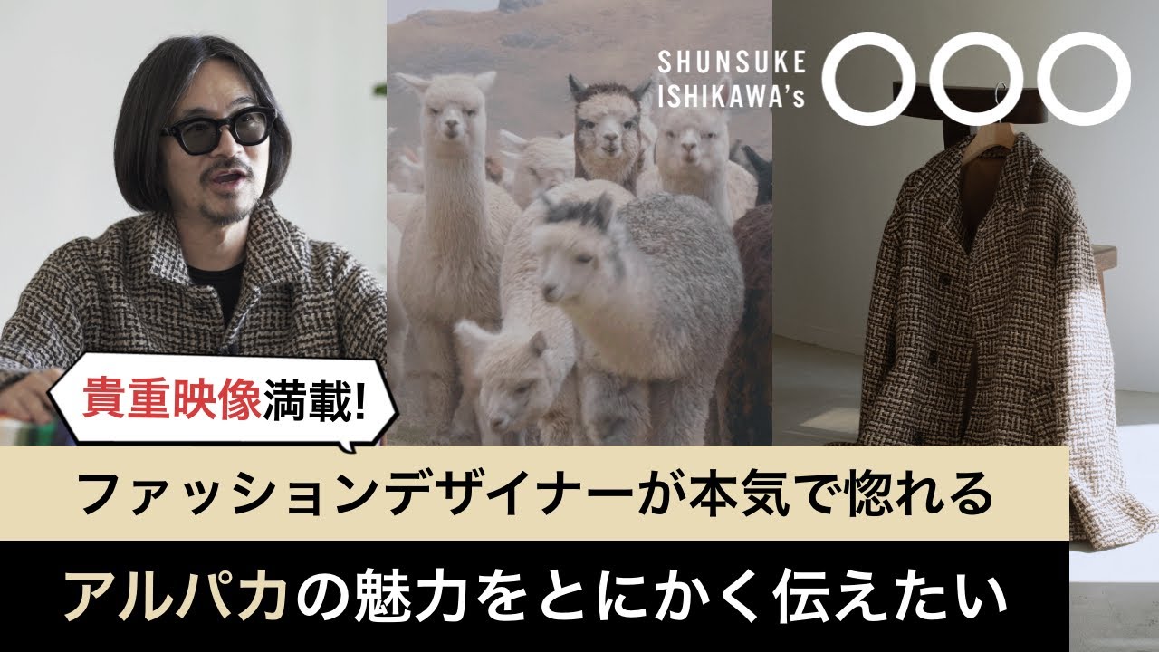【貴重映像満載】ファッションデザイナーが本気で惚れる【アルパカ】の魅力をとにかく伝えたい