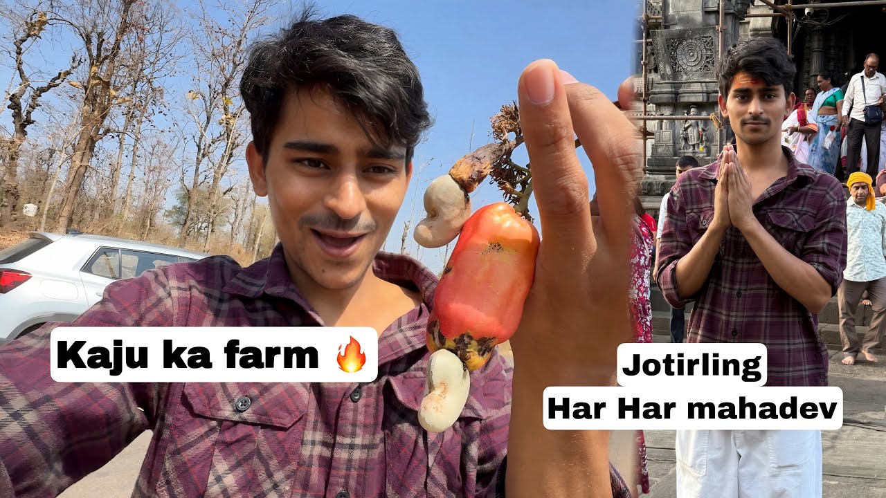 Kaju ke farm me chori kar liya 🔥 Nashik 