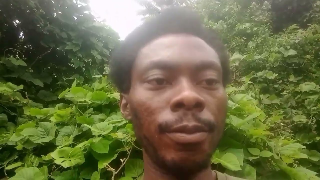 Job @ Seyitola farm, Ibadan.