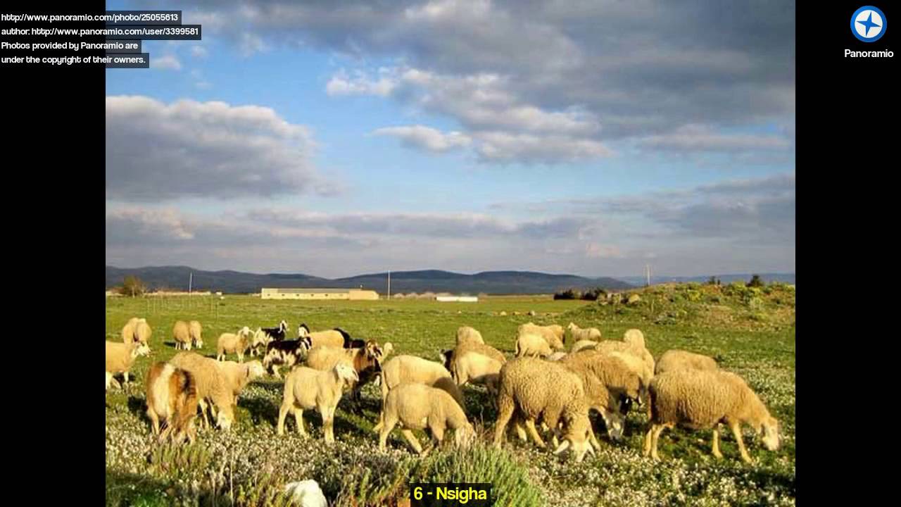 Discover Khenchela, Algeria