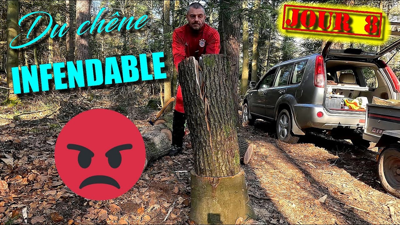 [EN MODE BUCHERON] J8- DU CHÊNE INFENDABLE 🤬🤬🪵🪓🌳🪚🌲
