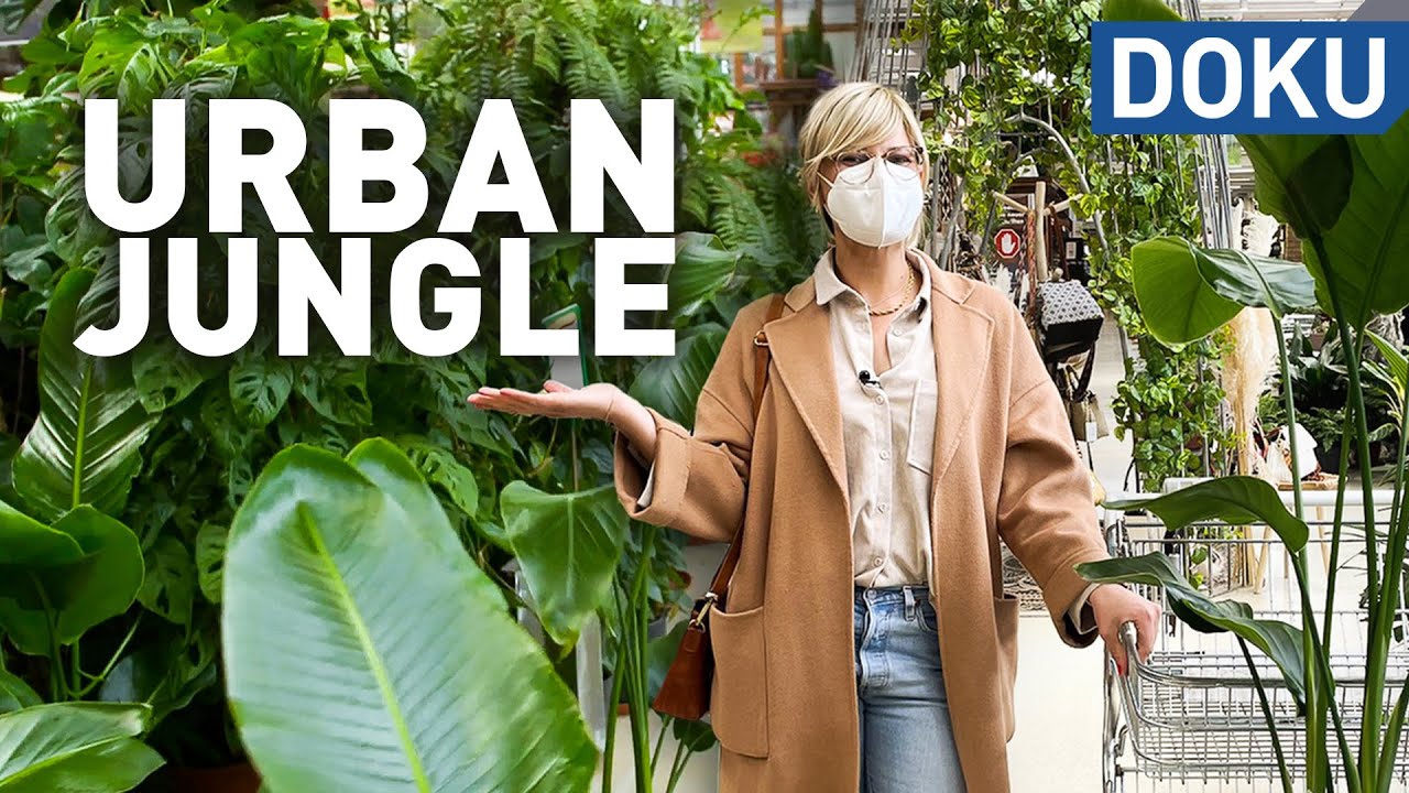 Urban Jungle - Der Hype um Zimmerpflanzen | dokus und reportagen