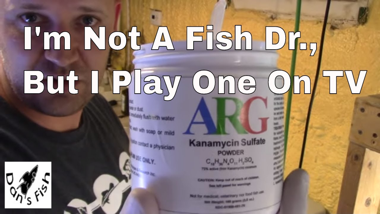Day 1: Medicating Newly Imported Fish