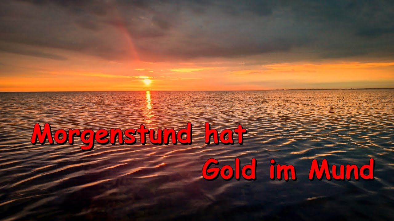 Fliegenfischen in MV - Auf Meerforelle im Sommer