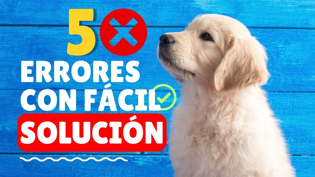 5 ERRORES FATALES que cometes al EDUCAR a tu PERRO 🐶 [NOTARÁS EL CAMBIO! ✅]