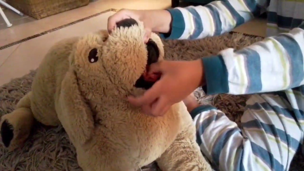 Dog And Panda IKEA soft toys Review!