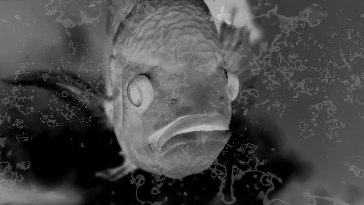 John Tejada - Abbot Of Burton (Official Video)