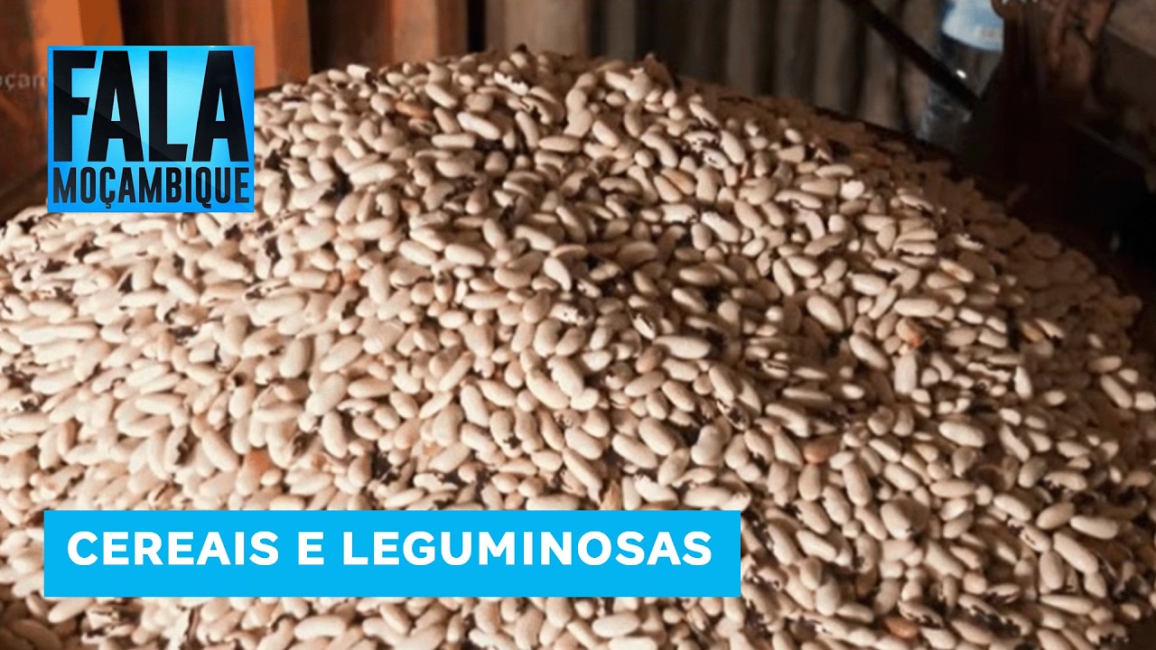 Mercado Grossista do Zimpeto minimiza escassez de feijão e amendoim com a reabertura das vias