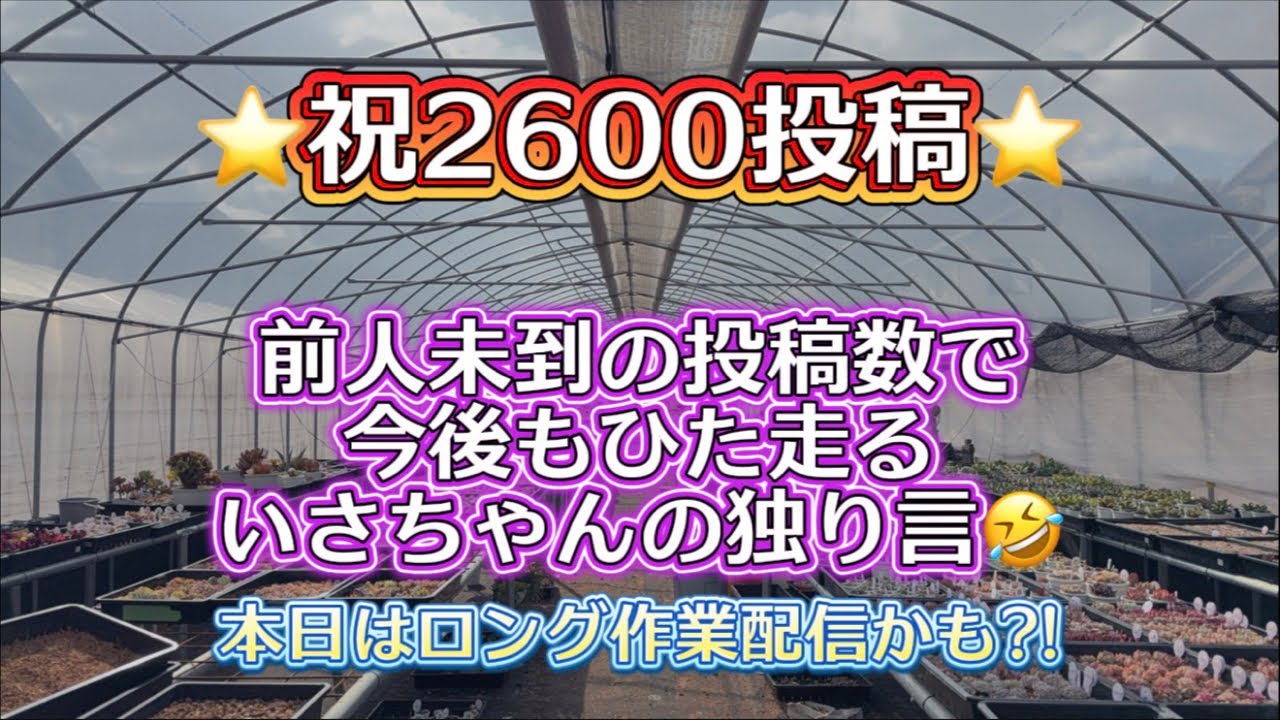 【多肉業界トップ】をひた走る2600投稿達成💖【目標3000投稿】