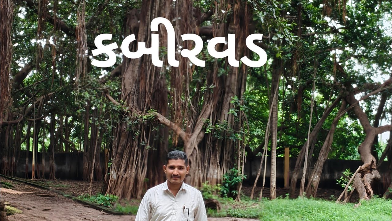 કબીરવડ, ભરૂચ /kabirvad, Bharuch //  The biggest tree in Gujarat : Kabirvad