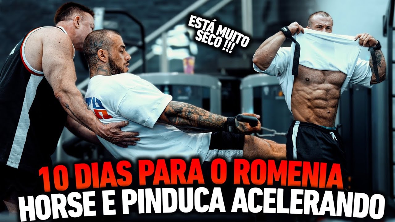 10 DAYS TO ROMÊNIA - HORSE E PINDUCA NO LIMITE