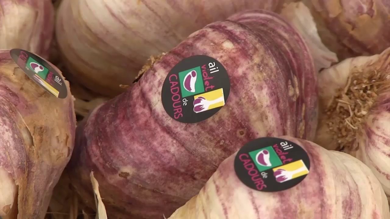 L'ail violet de Cadours obtient finalement son A.O.P.