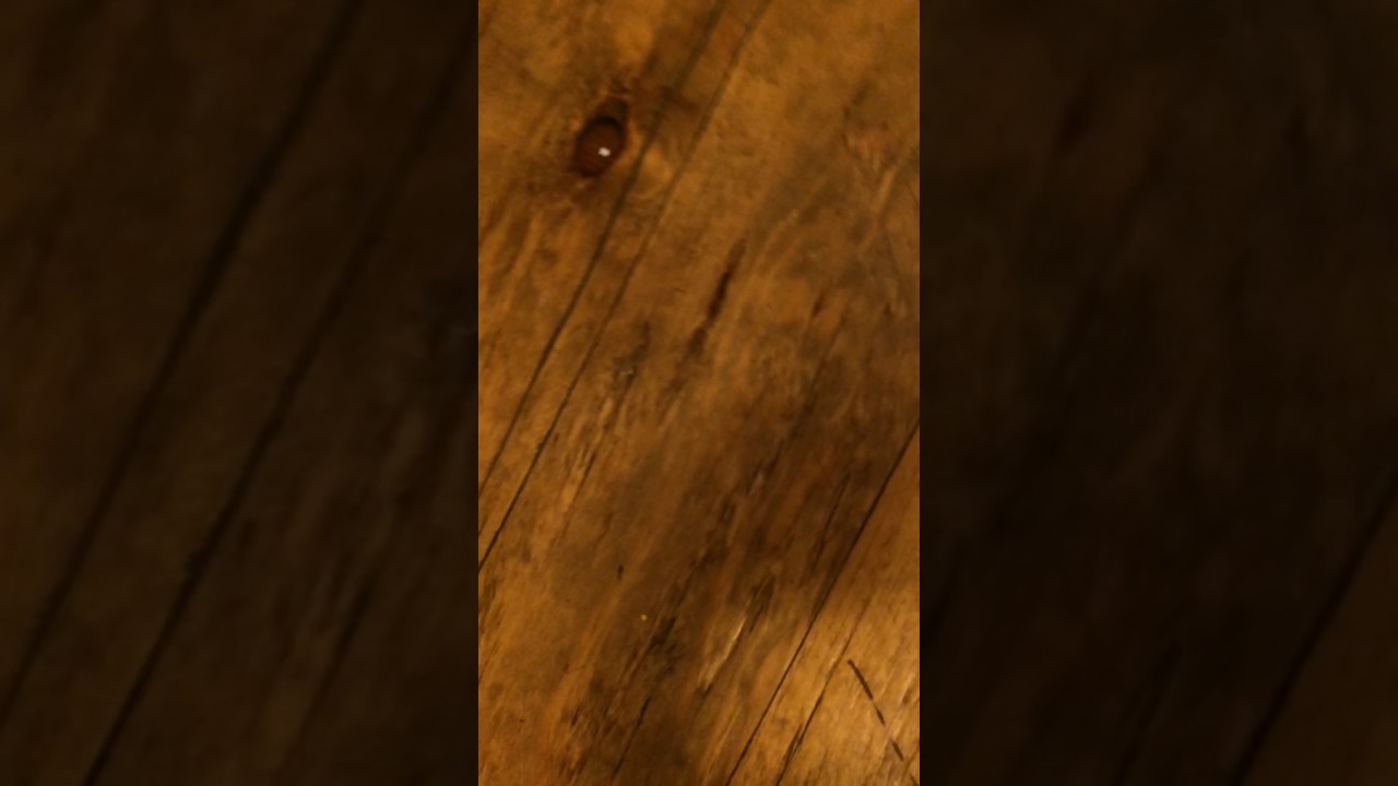 Plywood plank flooring