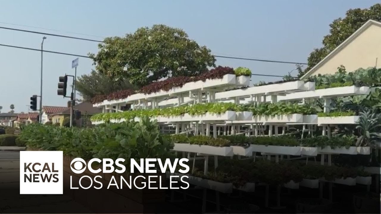 Micro Farms in Hyde Park