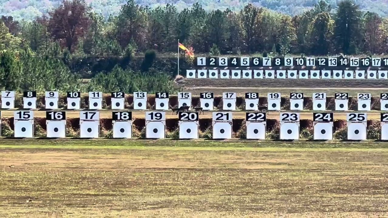 Deer cross the rifle range at CMMP Talladega 