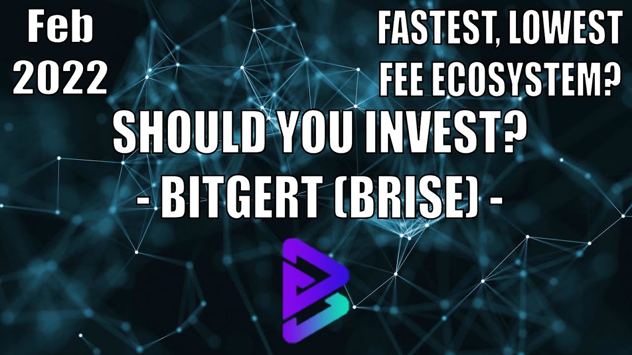 CSI SERIES: BITGERT (BRISE) - SHOULD YOU INVEST?