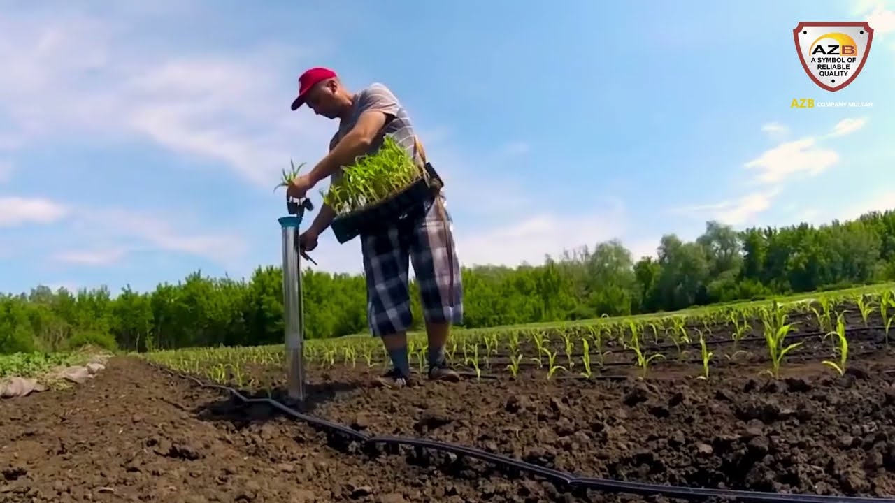 MANUAL SEEDER MACHINE | SEED PLANTER MACHINE | SEEDLING TRANSPLANTING TOOL Paneri Planter
