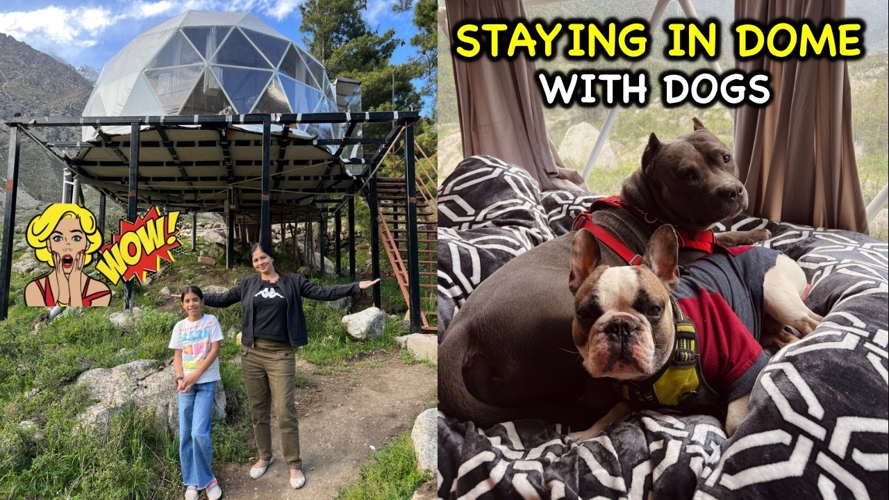 Staying in DOME with DOGS 😍 CHITKUL Panaash Eco World Ep .7 | Spiti Trip