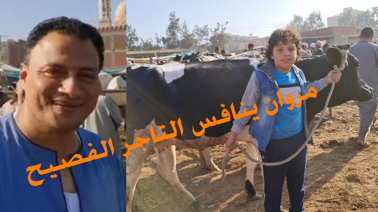 مروان ينافس التاجر الفصيح في البقره العشر ربنا يستر عليك يا فصيح من الجيل القادم🤣🤣🤣