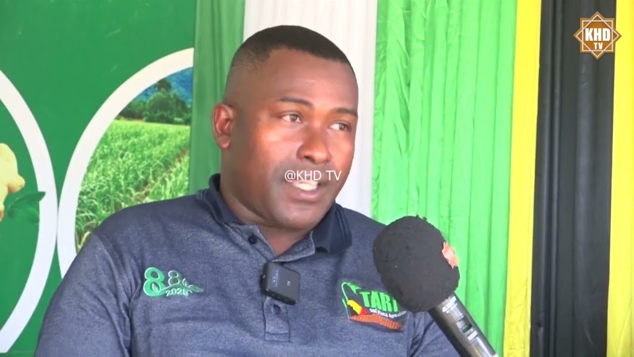 WAKULIMA NANENANE  WALIKIMBILIA BANDA LA TARI DOLE ZANZIBAR.