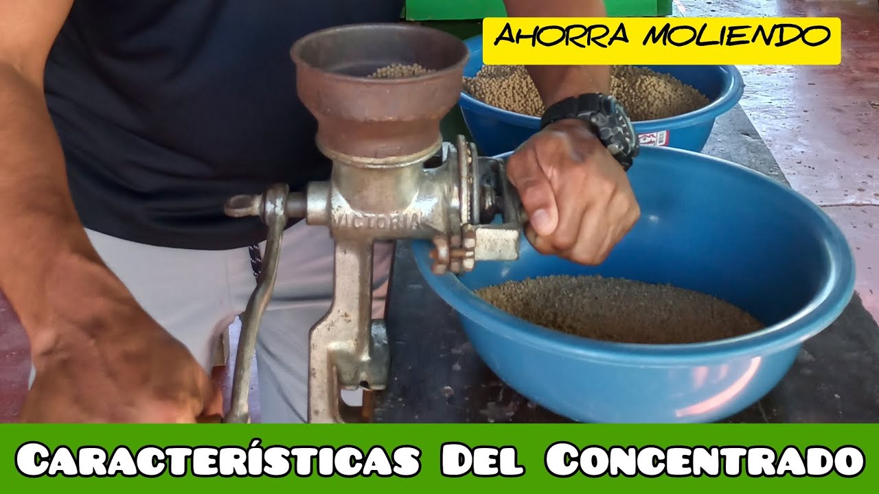 AHORRA MOLIENDO!!! (Características  del concentrado)🐟🐟🐟💯