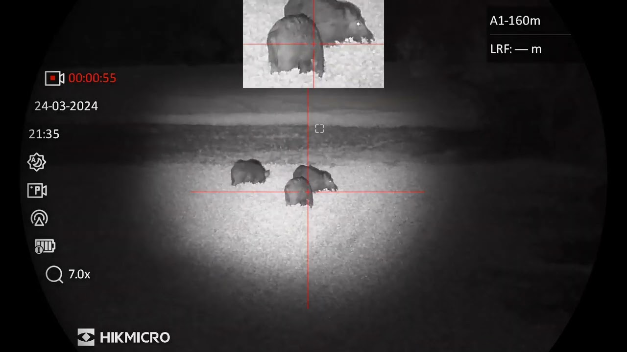 HIKMICRO ALPEX LRF 4K hunting scene - wild boars