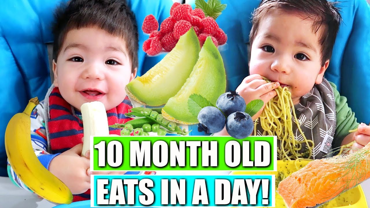 WHAT MY BABY EATS IN A DAY | 10 MONTHS OLD