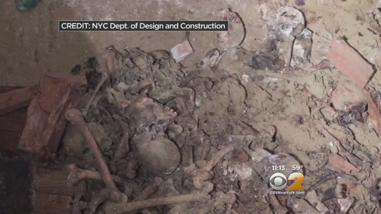 Remains In Washington Square Park