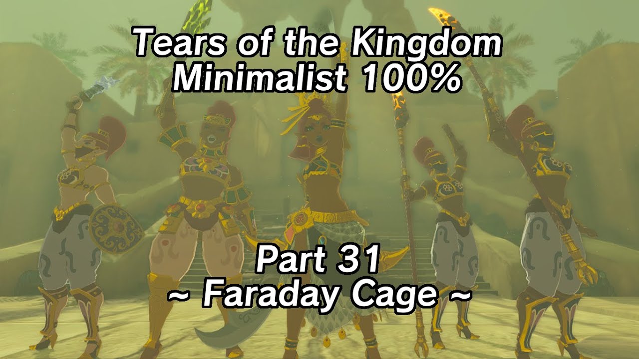 Tears of the Kingdom Minimalist 100% Part 31 - Faraday Cage