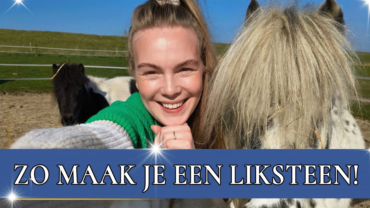 Zelf likstenen voor paarden maken! 🐴 | PaardenpraatTV