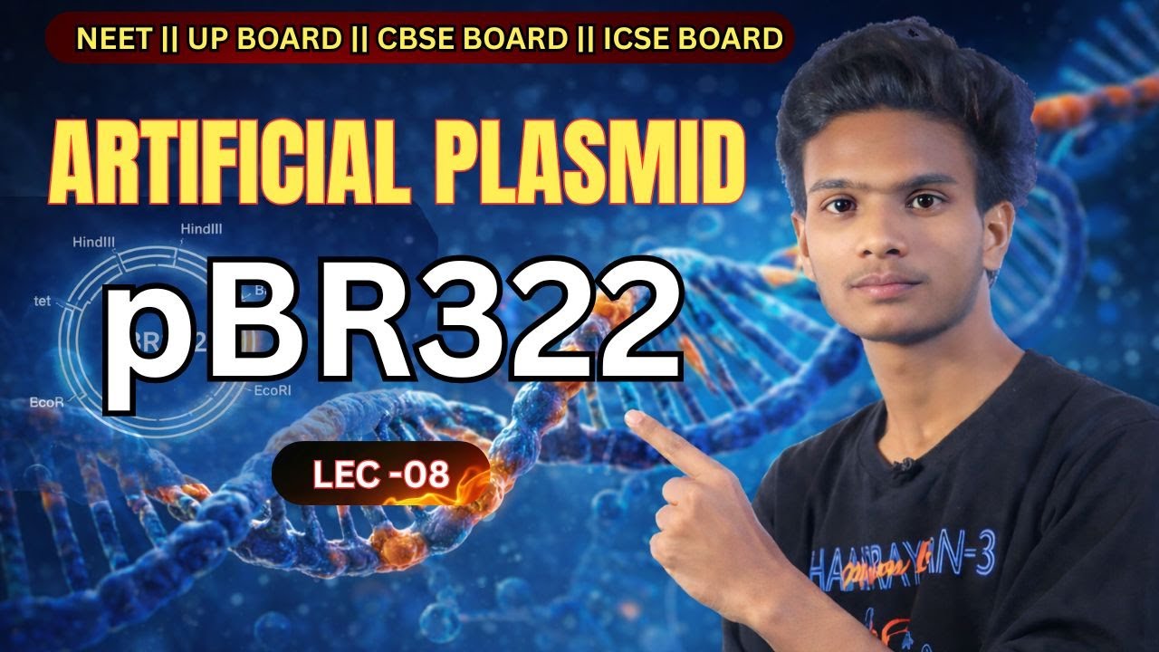 pBR322 Plasmid Complete Explanation | NCERT Biotechnology