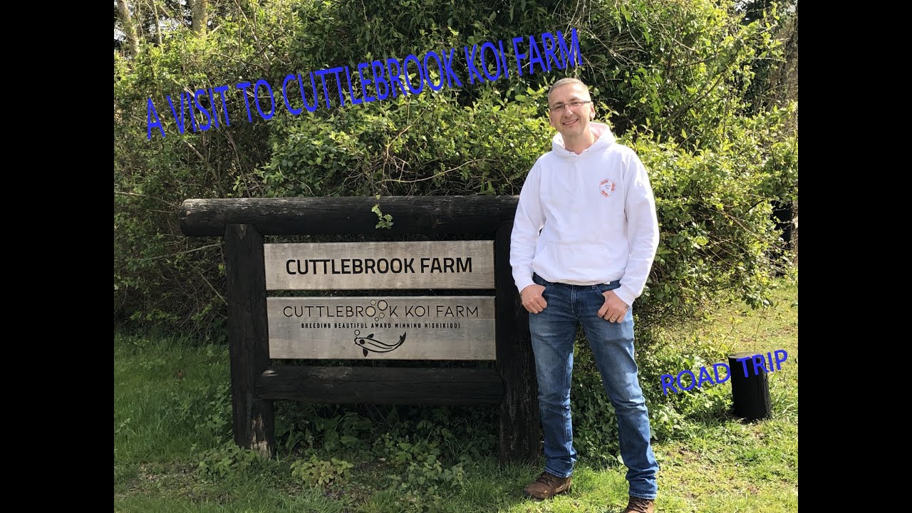 A VISIT TO CUTTLEBROOK KOI FARM