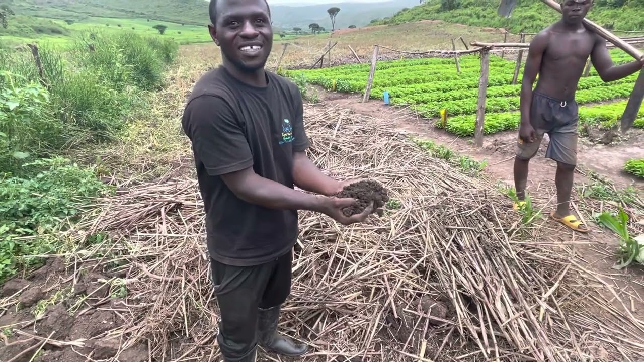 Treating Goat Manure for Organic Farming
