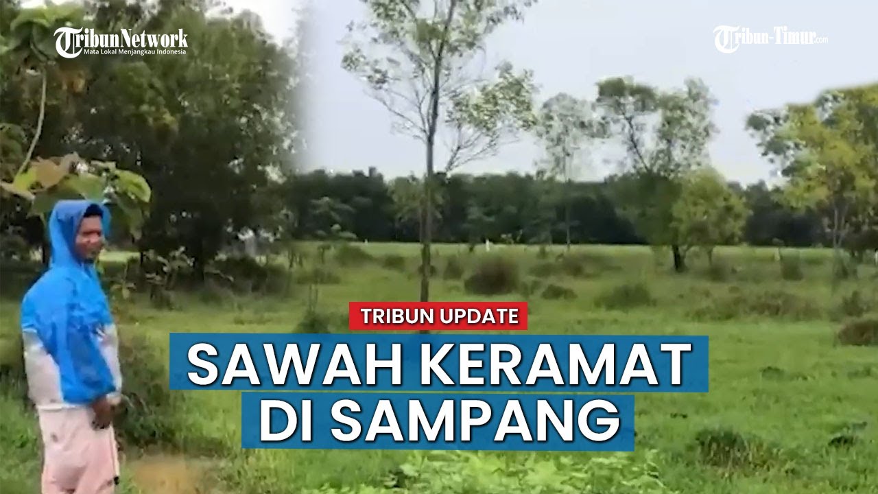 Kental Aura Mistis, Sawah di Pelakaran Sampang Puluhan Tahun Tak Ditanami Warga Dianggap Keramat