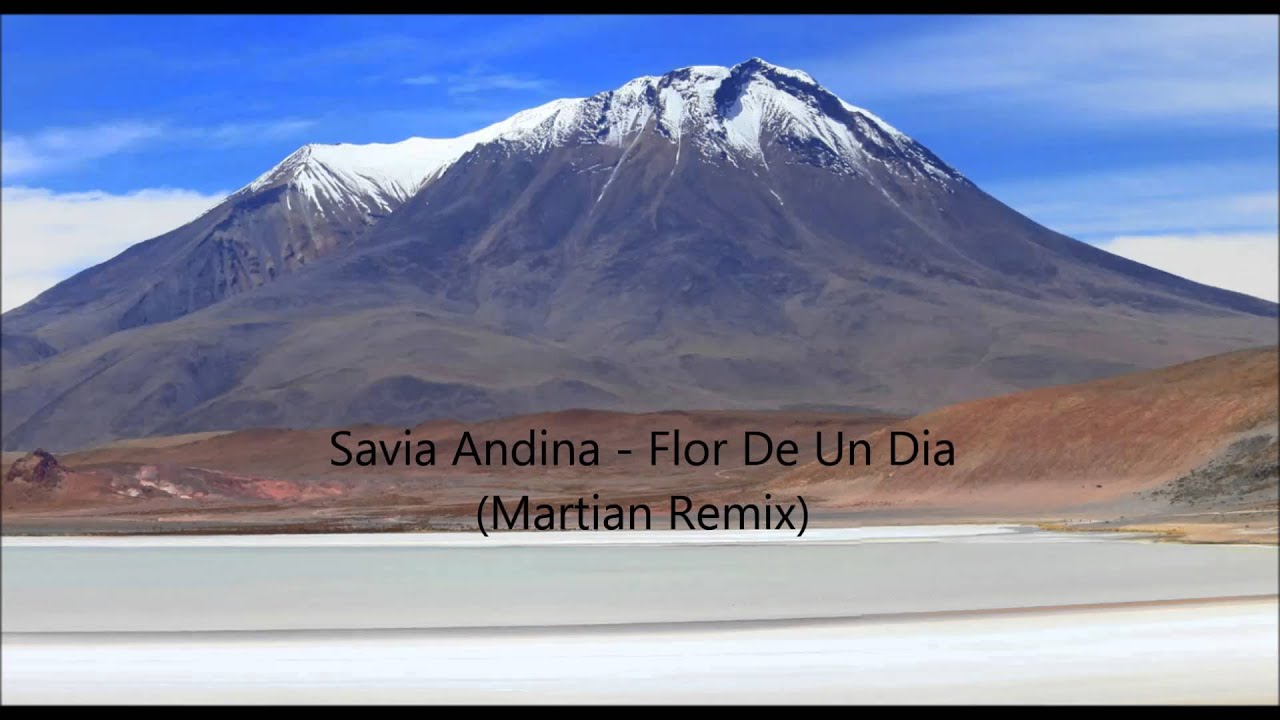 Savia Andina - Flor De Un Dia (Martian Remix) @ 7' 55