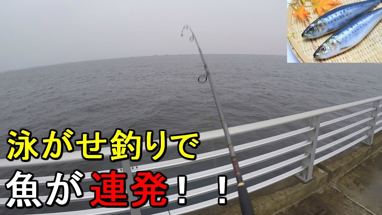 【検見川浜突堤】釣ったイワシの泳がせ釣りで爆釣！…したのはいいんだけれども【2019.07.11】