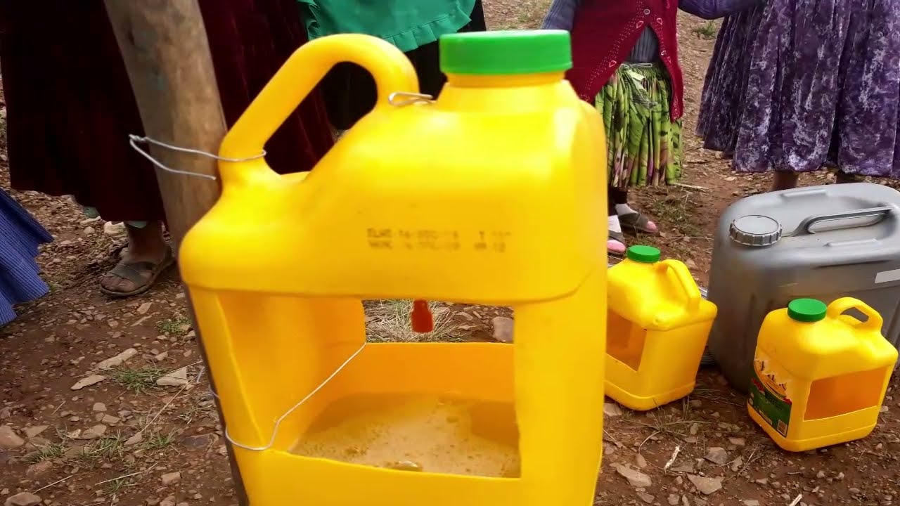 Elaboración e instalación de trampa con feromona para capturar a las polillas machos de papa.