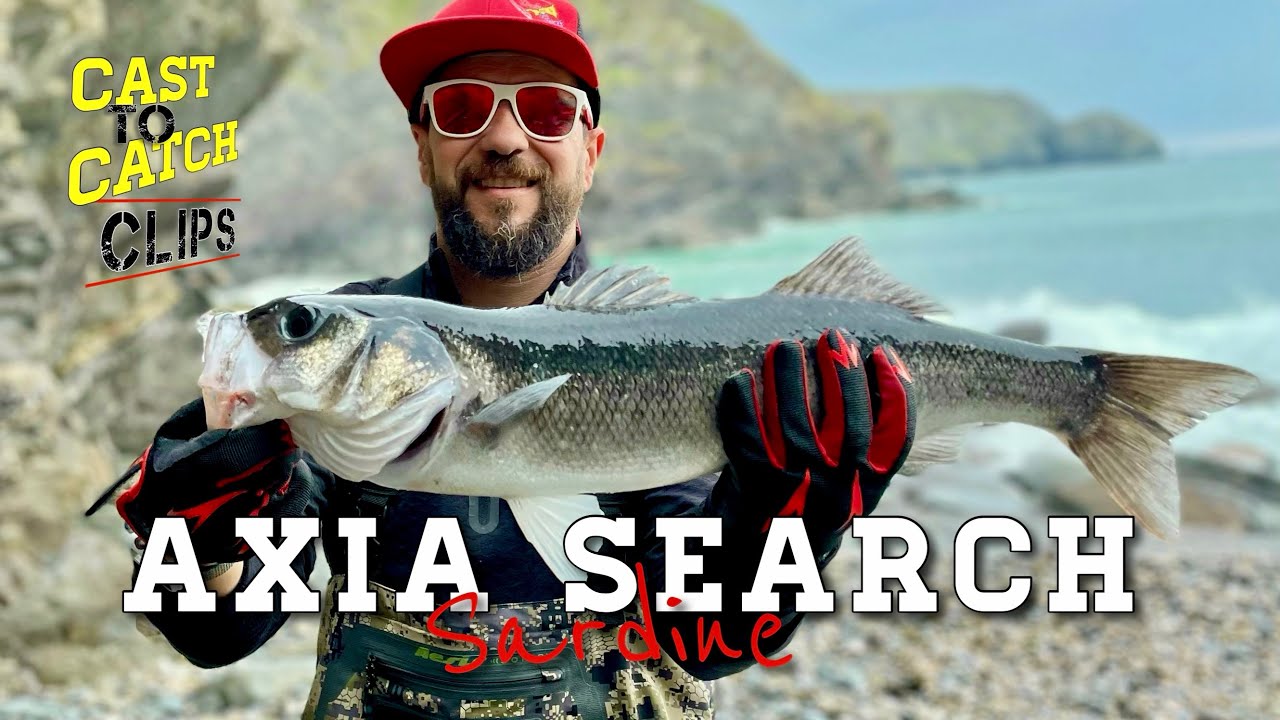 Axia Search Sea Bass Lure | Cast to Catch Fishing Clips #seabassfishing