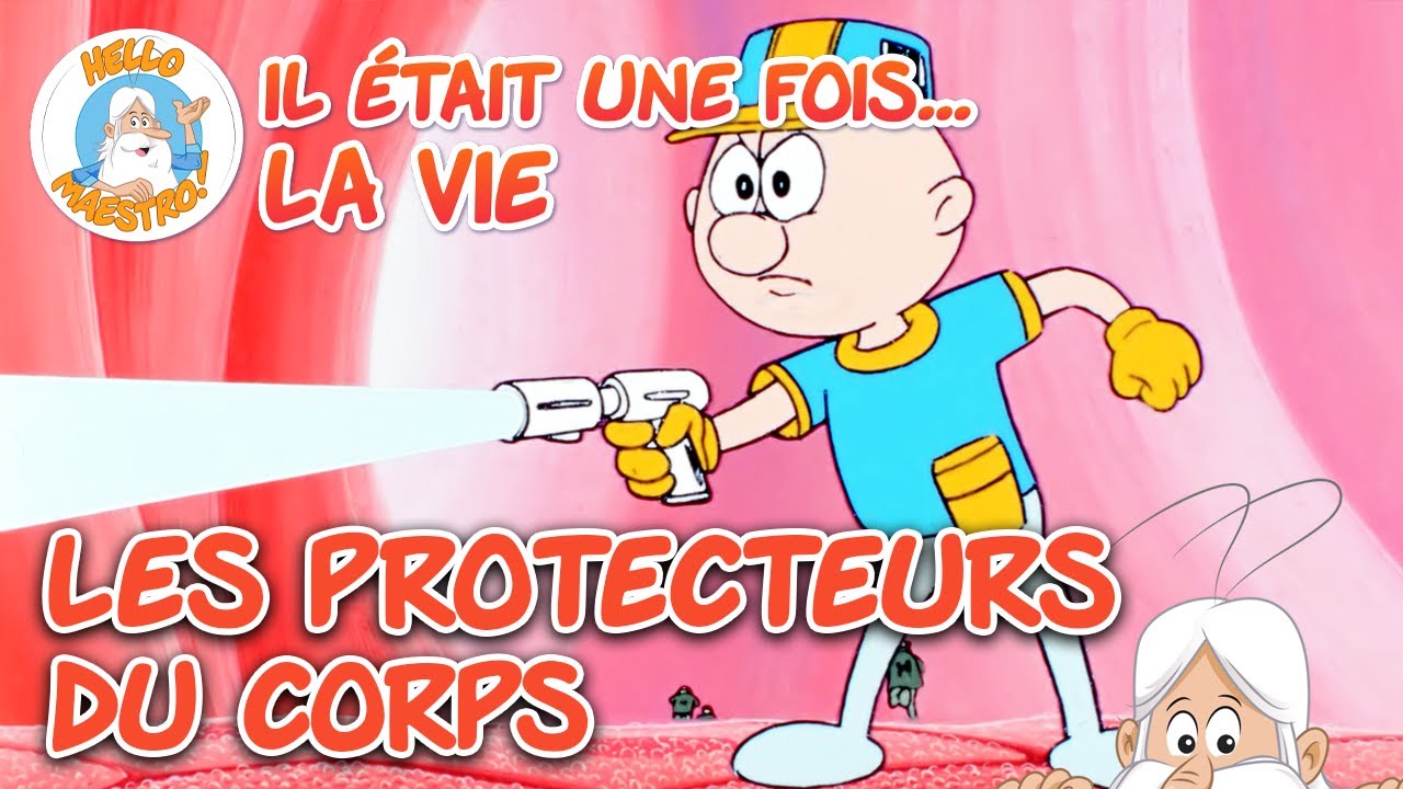 Les protecteurs du corps | Compilation d'épisodes | Il était une fois... la Vie