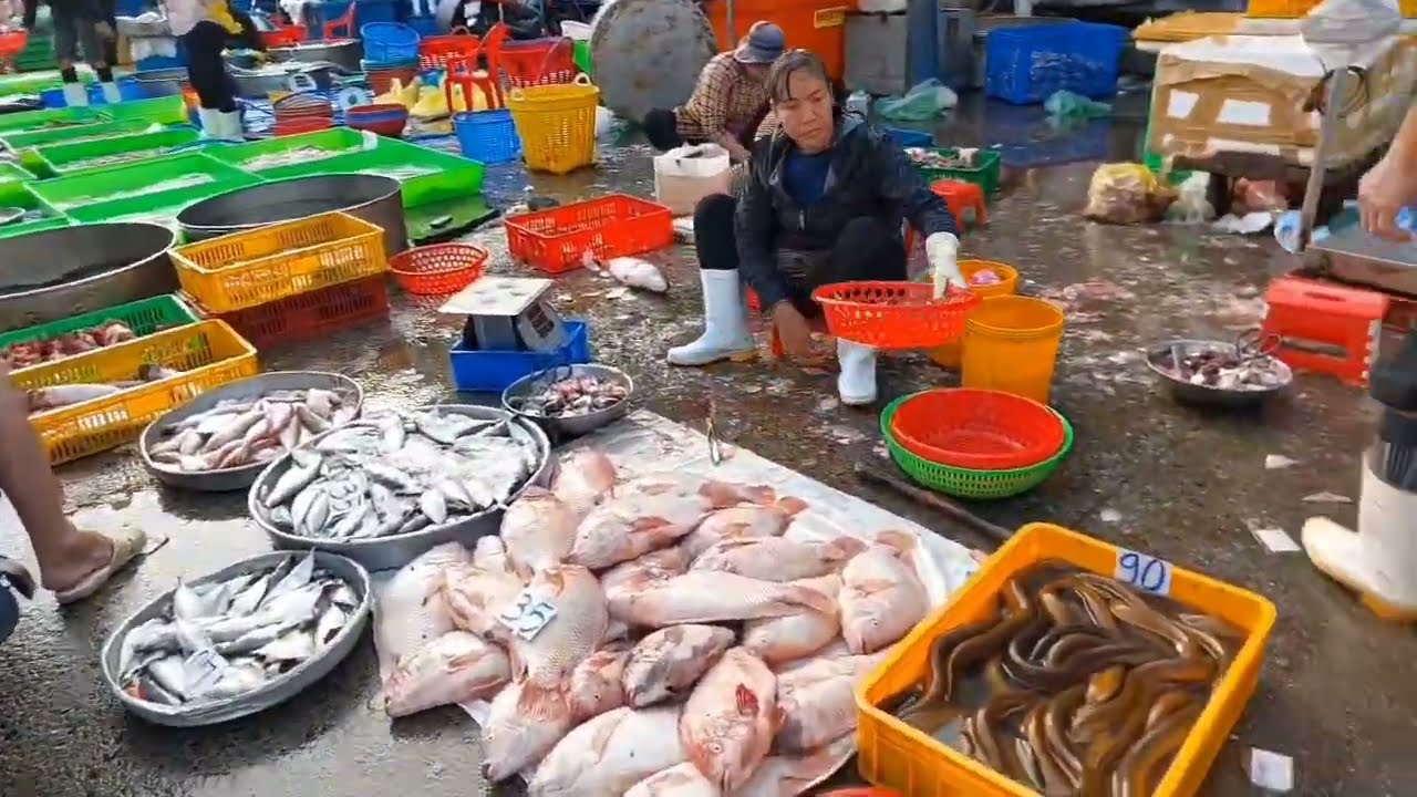 MÙNG 6 TẾT GIÁ THỦY HẢI SẢN CHỢ ĐẦU MỐI BÌNH ĐIỀN