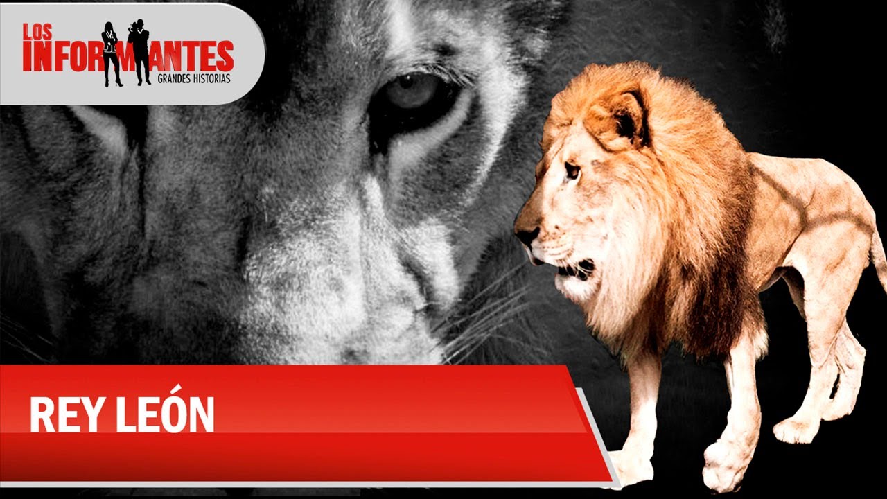 Júpiter: El rey león de los besos y abrazos - Los Informantes