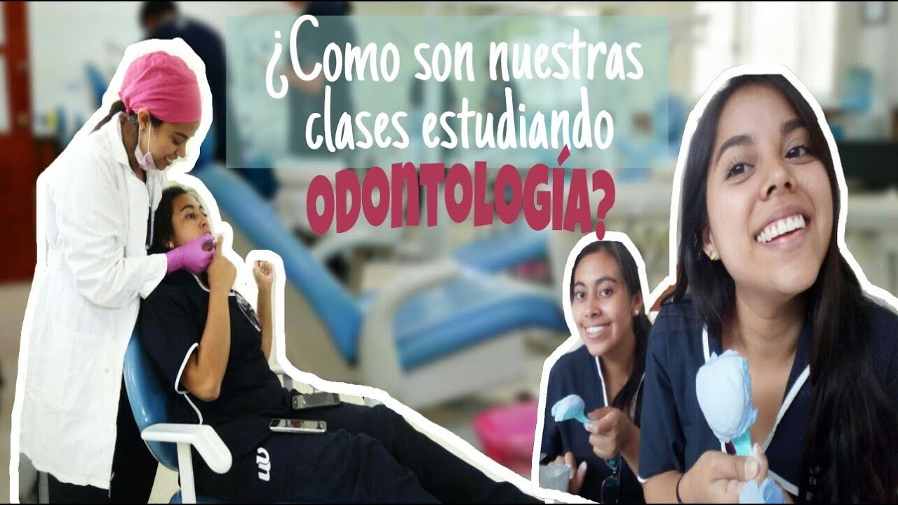 Un dia en la uni: Estudiando Odontología ♡