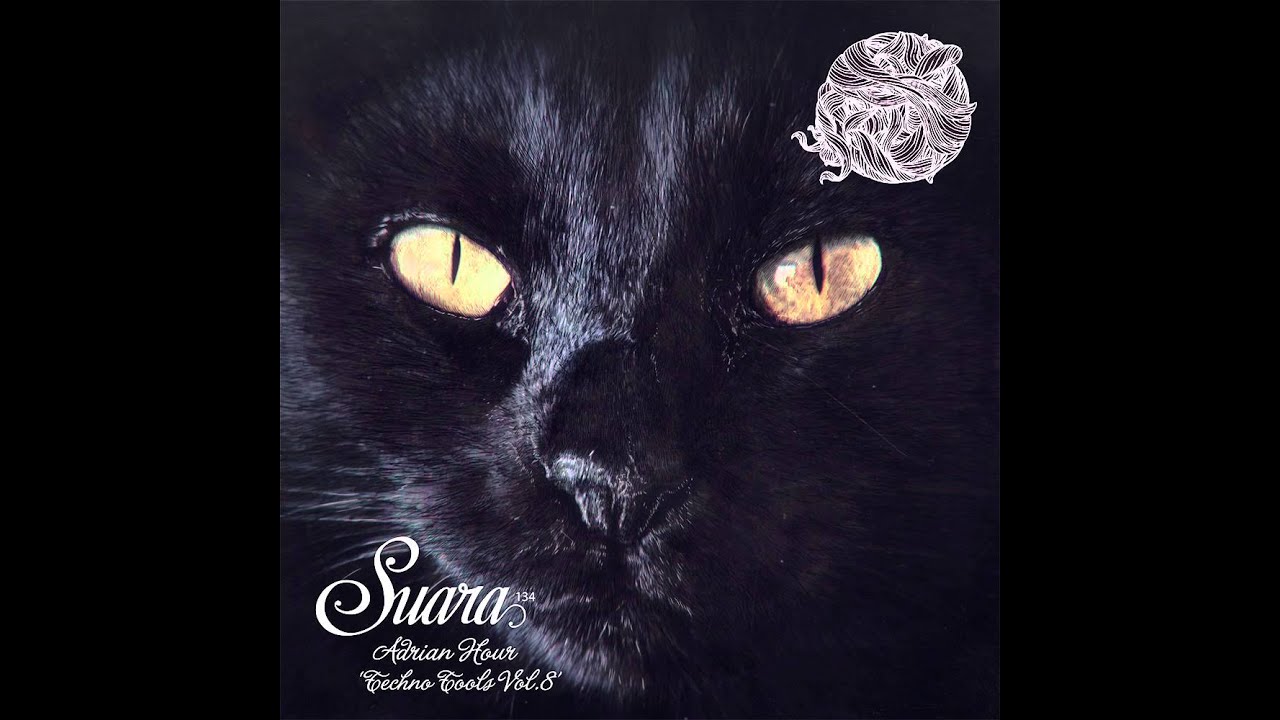 Adrian Hour - Dens (Original Mix) [Suara]