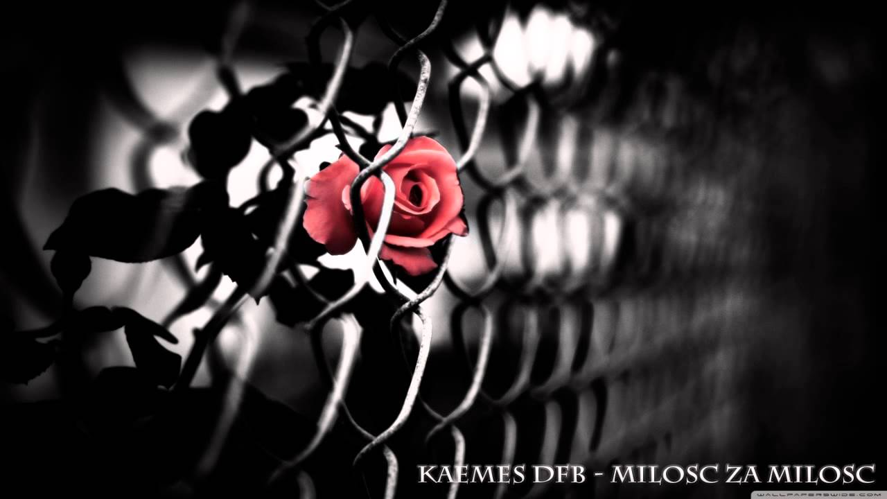 KaeMeS DFB - Miłość za miłość