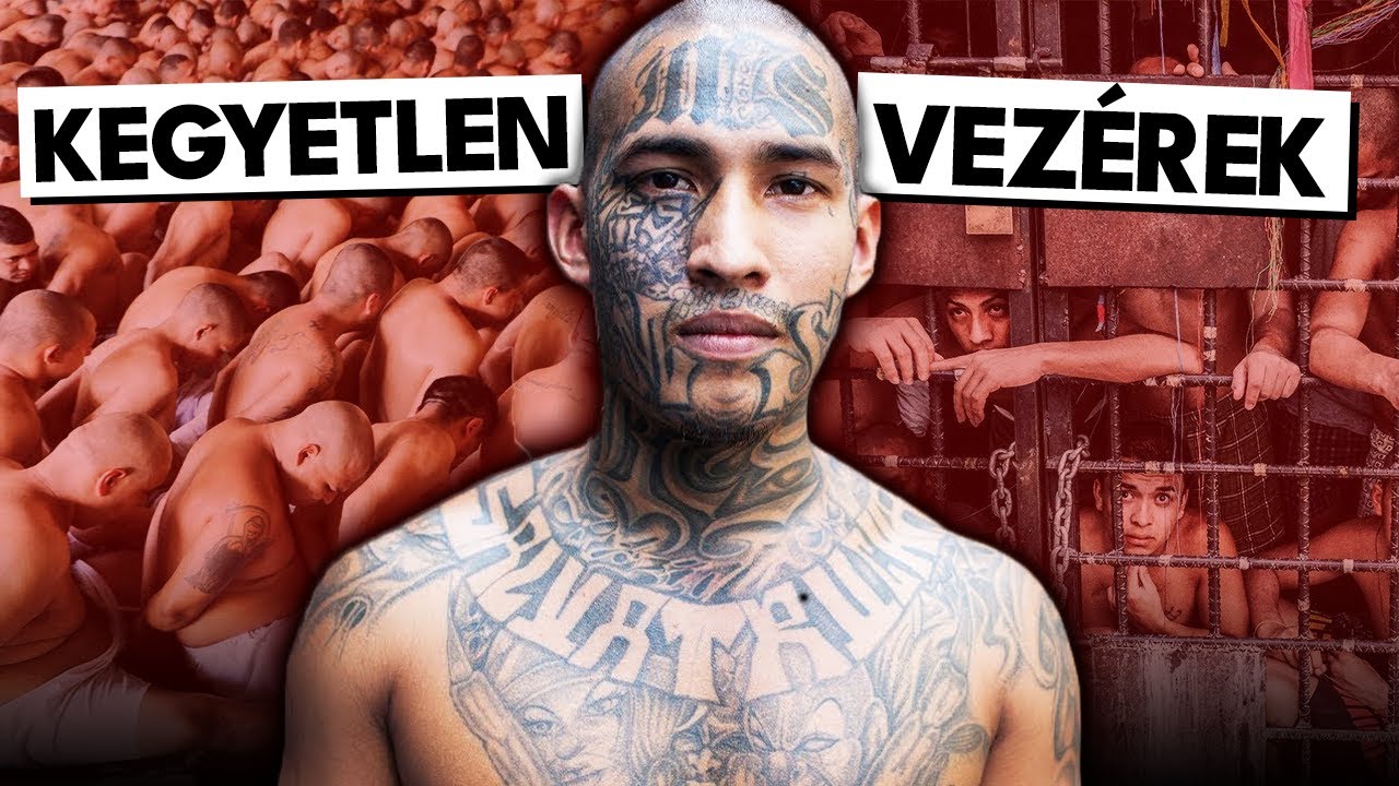 A legkeményebb kartell vezetők, akik még élnek