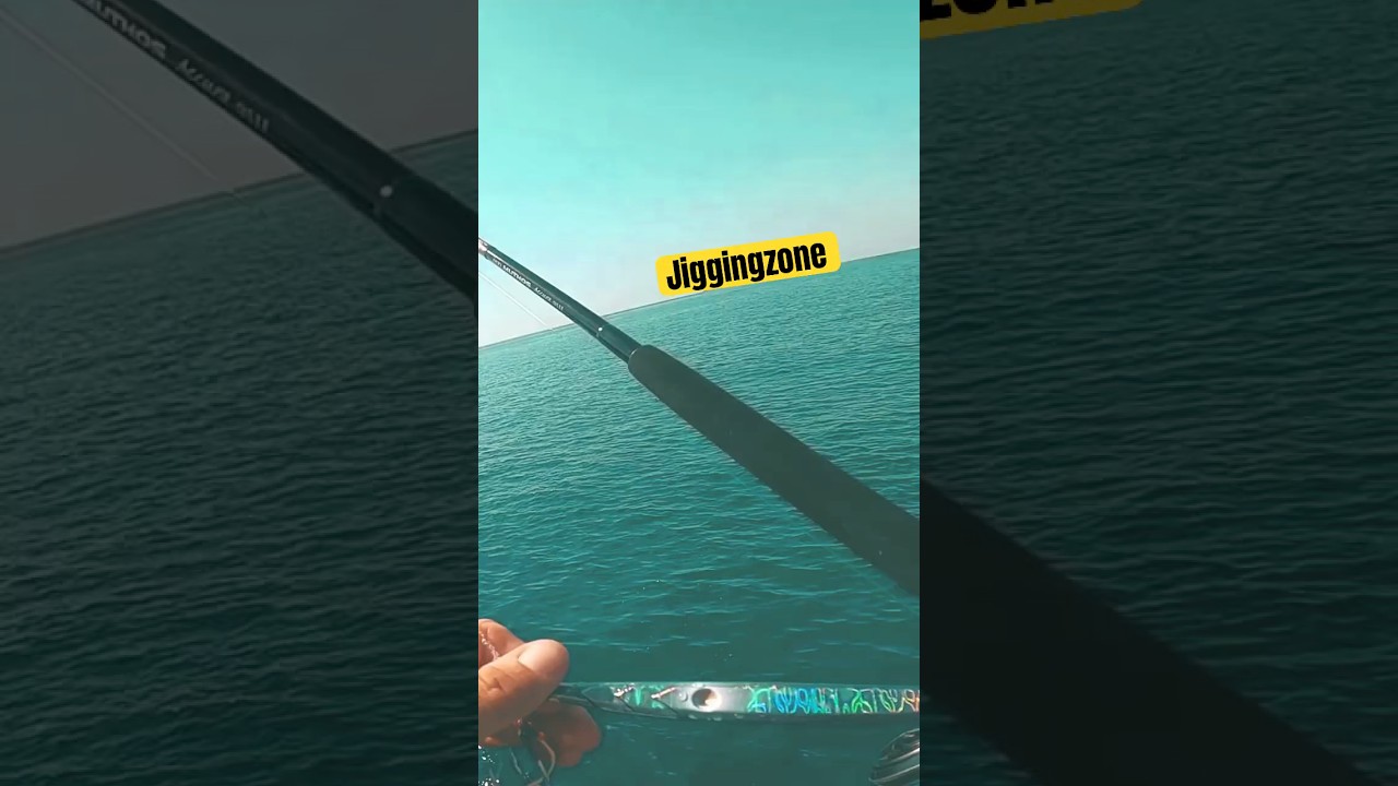 ZENAQ 95H JUST KILLS 120GR ECOODA JIG #zenaq #&psi;ά&rho;&epsilon;&mu;&alpha; #daiwa #mancing